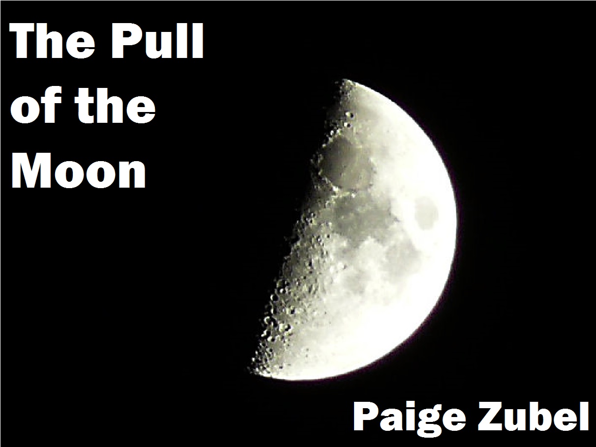 The Pull of the                          Moon by Paige Zubel