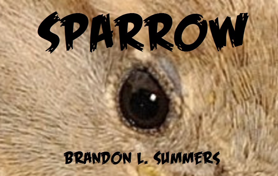 Sparrow - the superhero
                one-act play