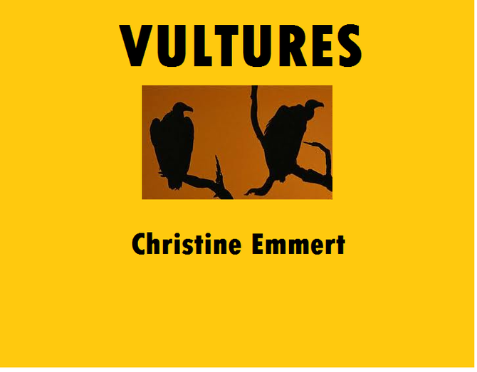 Vultures by Christine Emmert